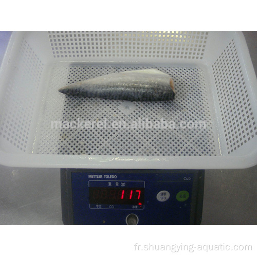 Vente à chaud Frozen Pacific MacKerel Filet